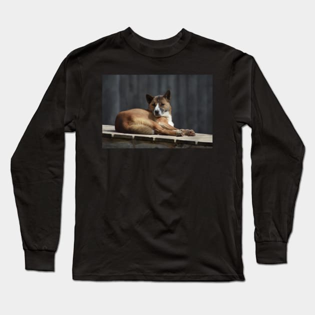 Dingo Long Sleeve T-Shirt by MarieDarcy